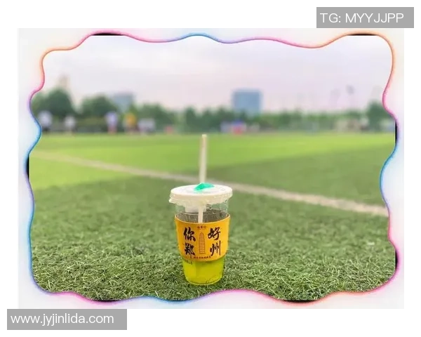 飞盘运动爱好者必看的防护垫选购指南与推荐技巧